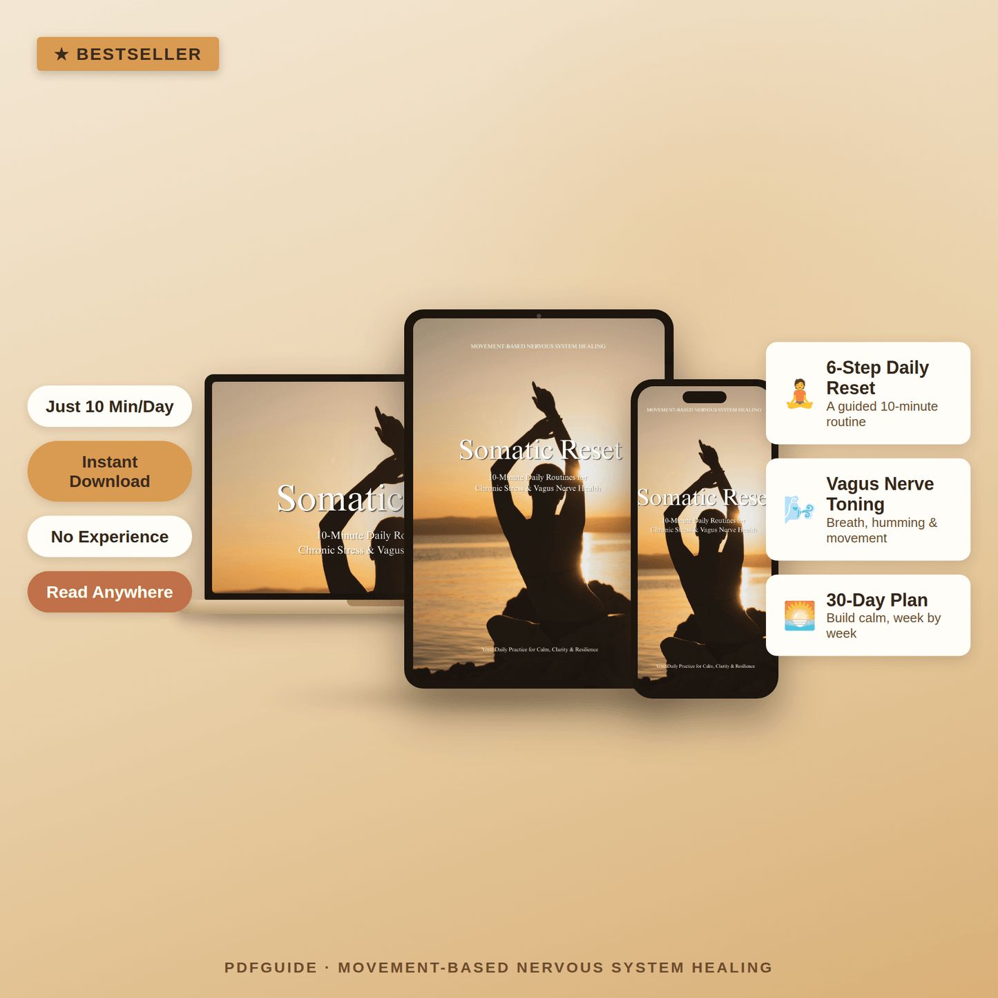 Somatic Reset - PDFGuideSomatic Reset