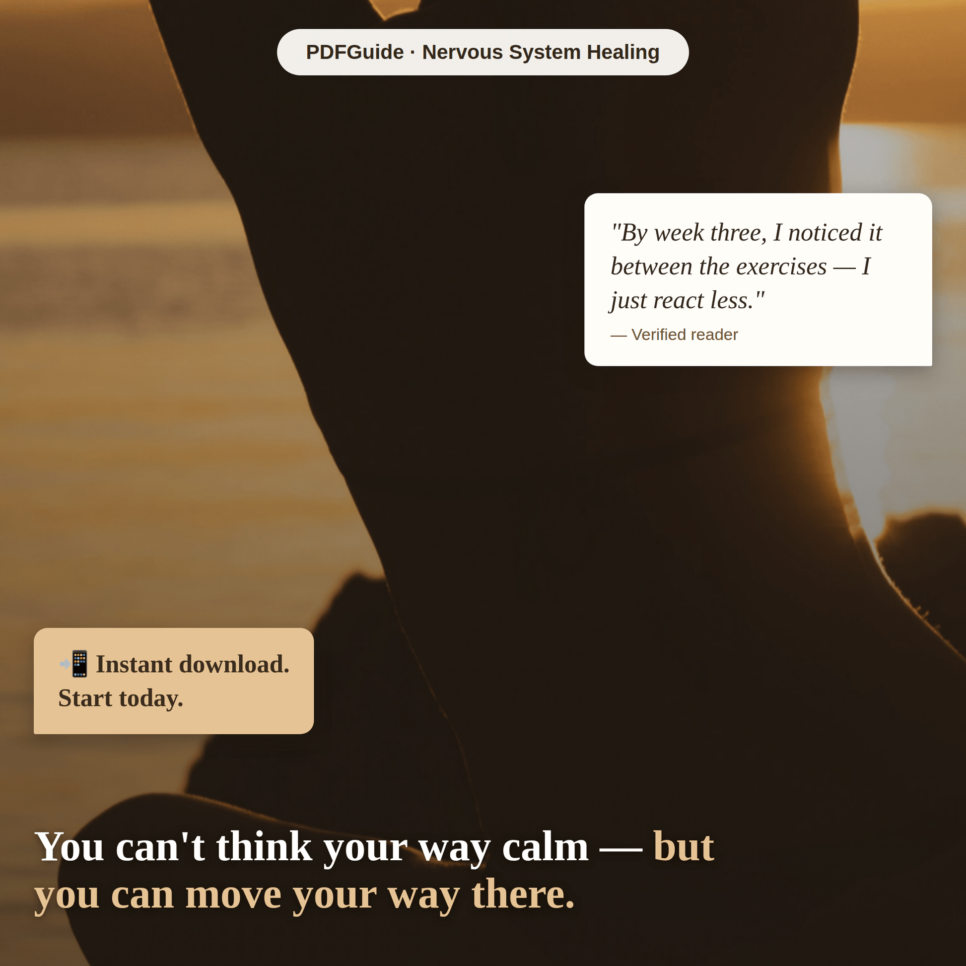 Somatic Reset - PDFGuideSomatic Reset